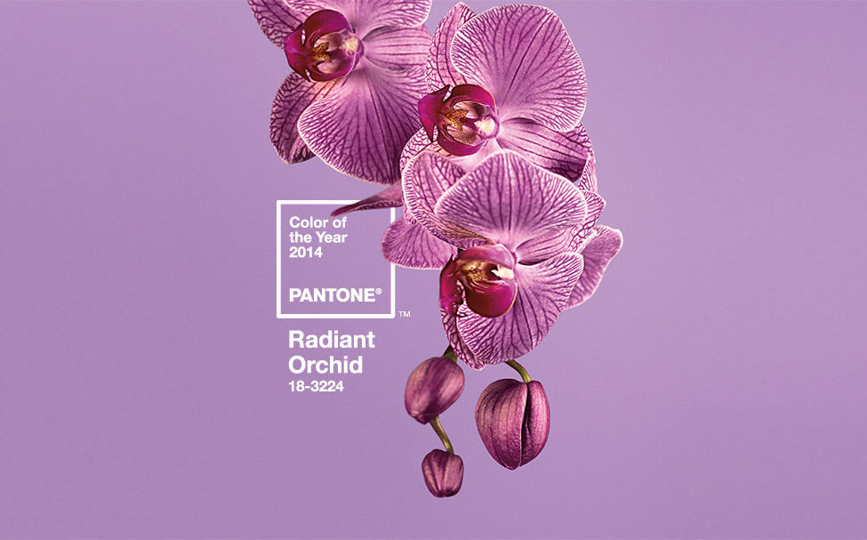 El Color del 2014. Pantone®- Agencia de Branding 